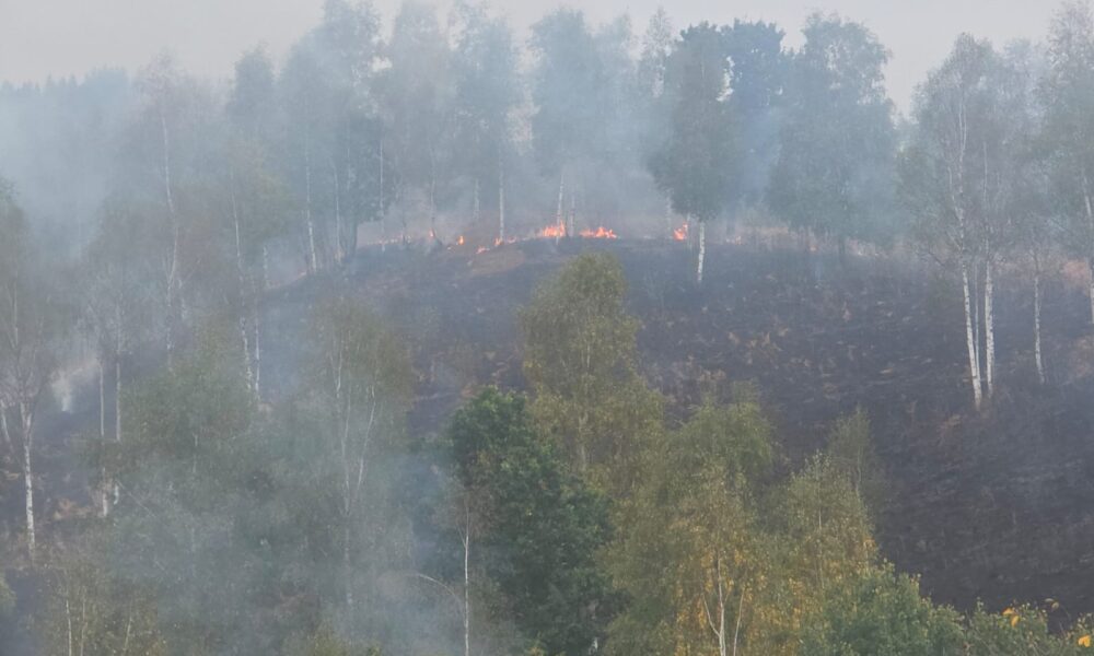 Boșorod și Vâlcele: trei persoane amendate cu 7.500 de lei pentru incendiere de vegetație uscată