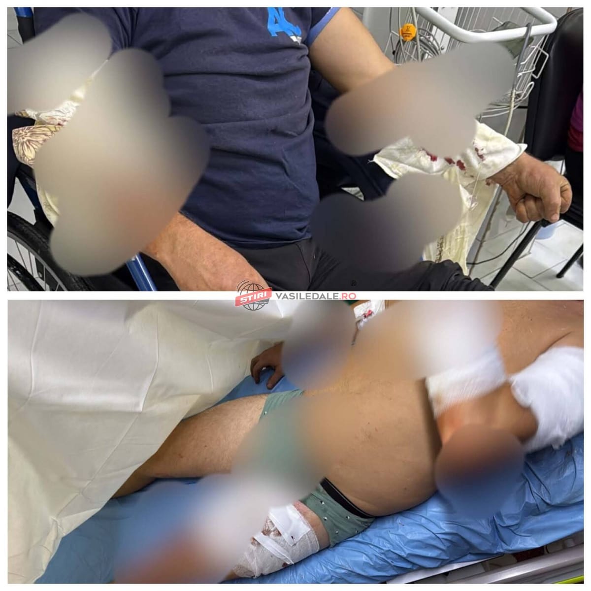 Borșa: doi bărbați atacați de urs în Valea Hotarului, răniți, ajunși la urgența spitalului