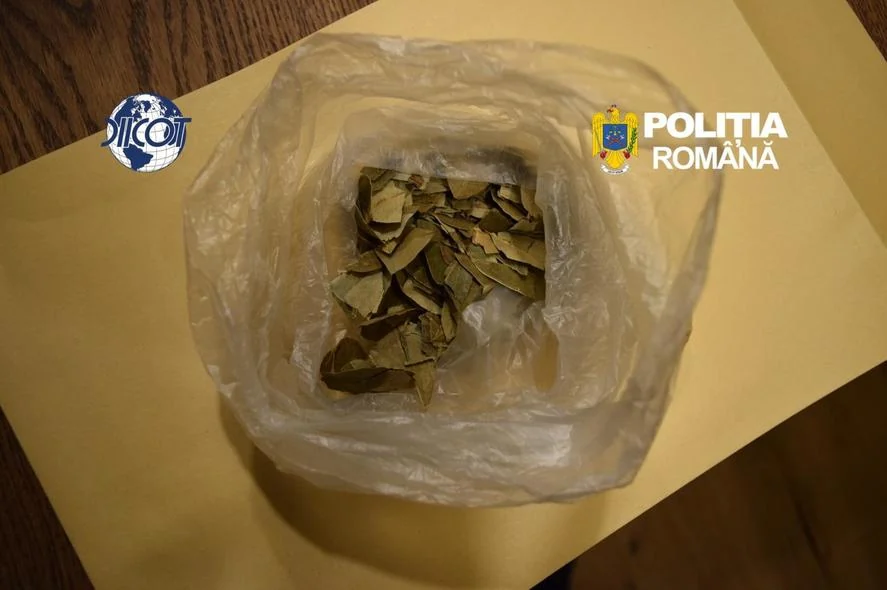 Boșorod, Hunedoara: percheziție DIICOT la o fundație, după ce s-au găsit DMT și cannabis