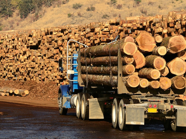 Brașov: angajatori din sectorul forestier amendați cu 18.000 de lei după controale ITM
