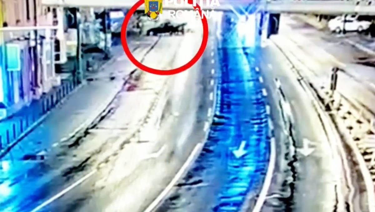 Brașov: șofer reținut după accident grav, pasager rănit; se cercetează o posibilă cursă ilegală