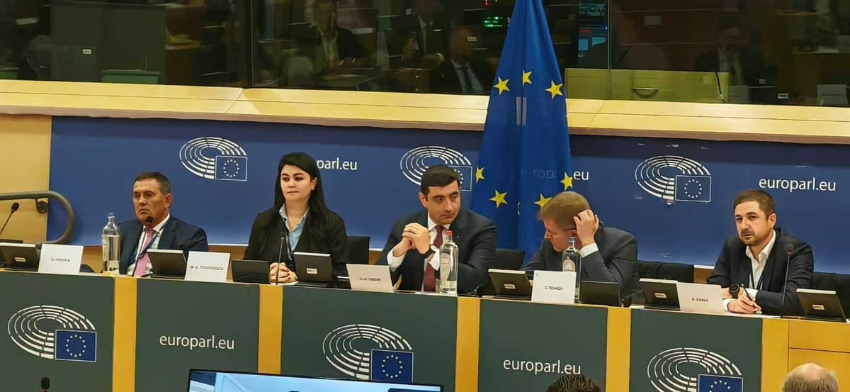 Bruxelles: Simion cere PE să monitorizeze acțiunile justiției împotriva lui Călin Georgescu