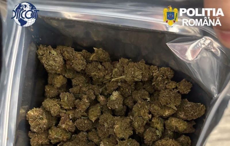 București: două persoane de 20 și 23 de ani, prinse cu peste 1,2 kilograme de canabis