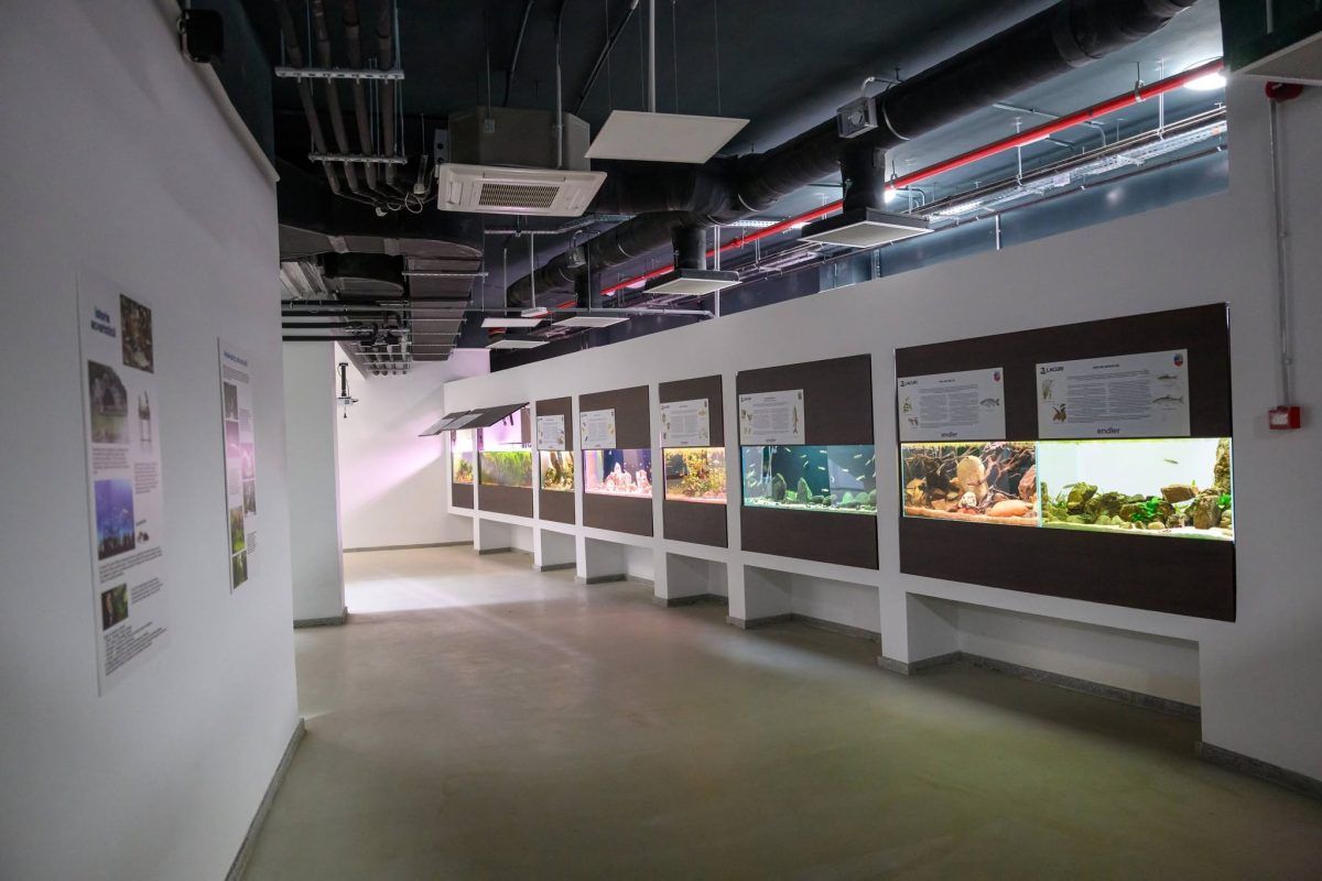 Câmpia Turzii: aproape 1.000 de vizitatori în primele două zile la Complexul 3 Lacuri după inaugurare
