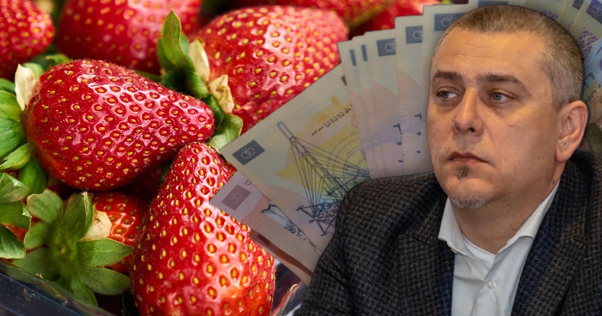 Camera Deputaților adoptă sprijin de 4.000 euro pe hectar pentru cultivatorii de căpșuni, propus de UDMR