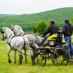 Campionii României la atelaje trase de doi cai vor fi desemnați, în weekend, la Beclean