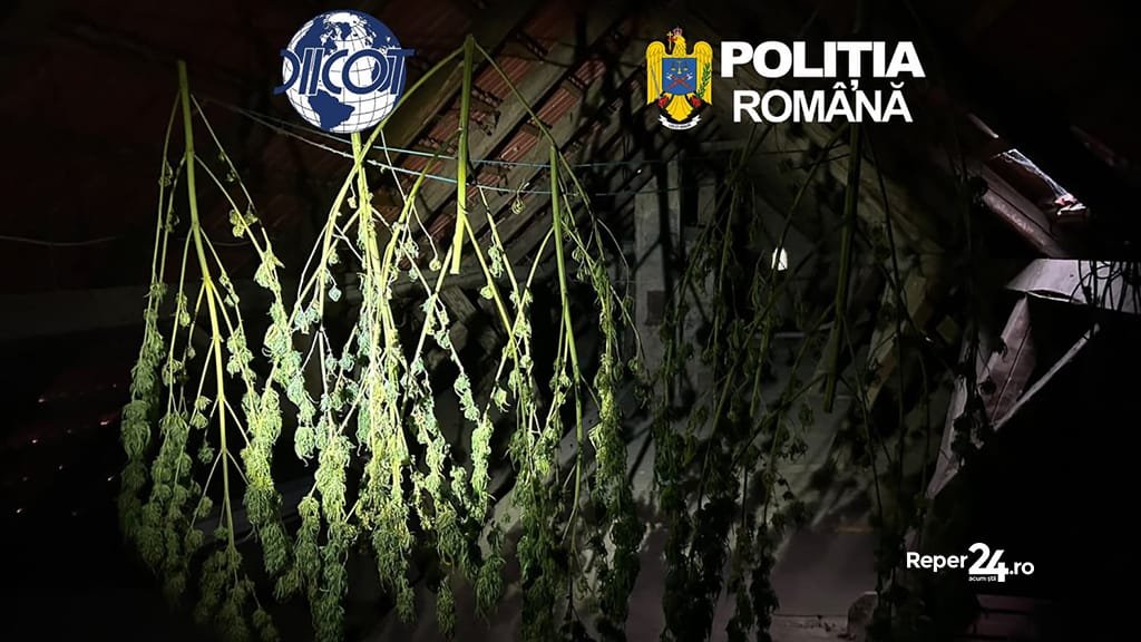 Caransebeș: tranzacție de droguri de 60.000 de euro oprită, doi suspecți reținuți