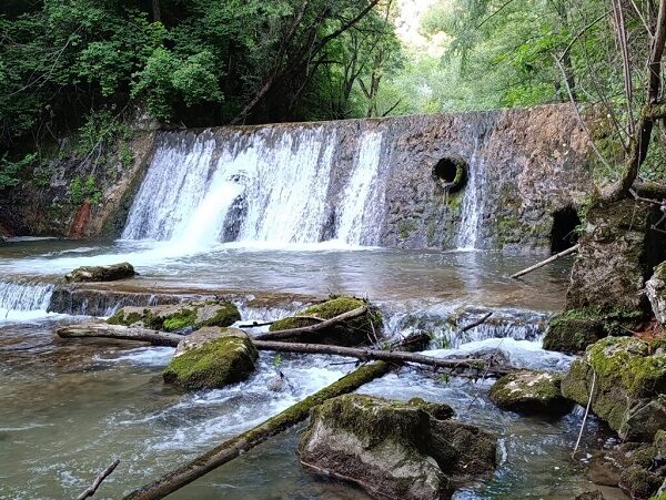 Caraș-Severin: WWF România vrea să reconecteze 42 de kilometri din râul Caraș pentru păstrăv