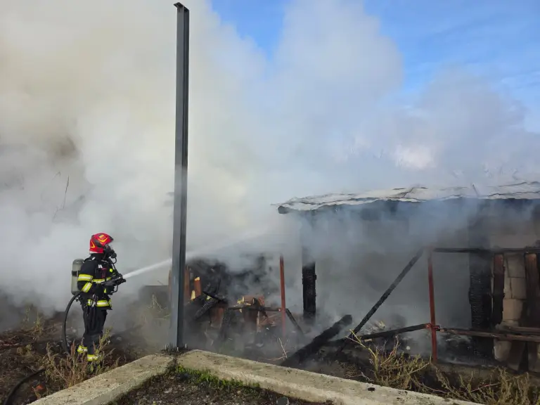 Cârța: 36 de păsări și un câine au murit într-un incendiu, dar pompierii au salvat casa