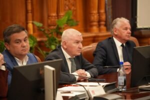 CCR a respins parțial legea lui Florin Roman privind minorii agresivi, cu unanimitate de voturi