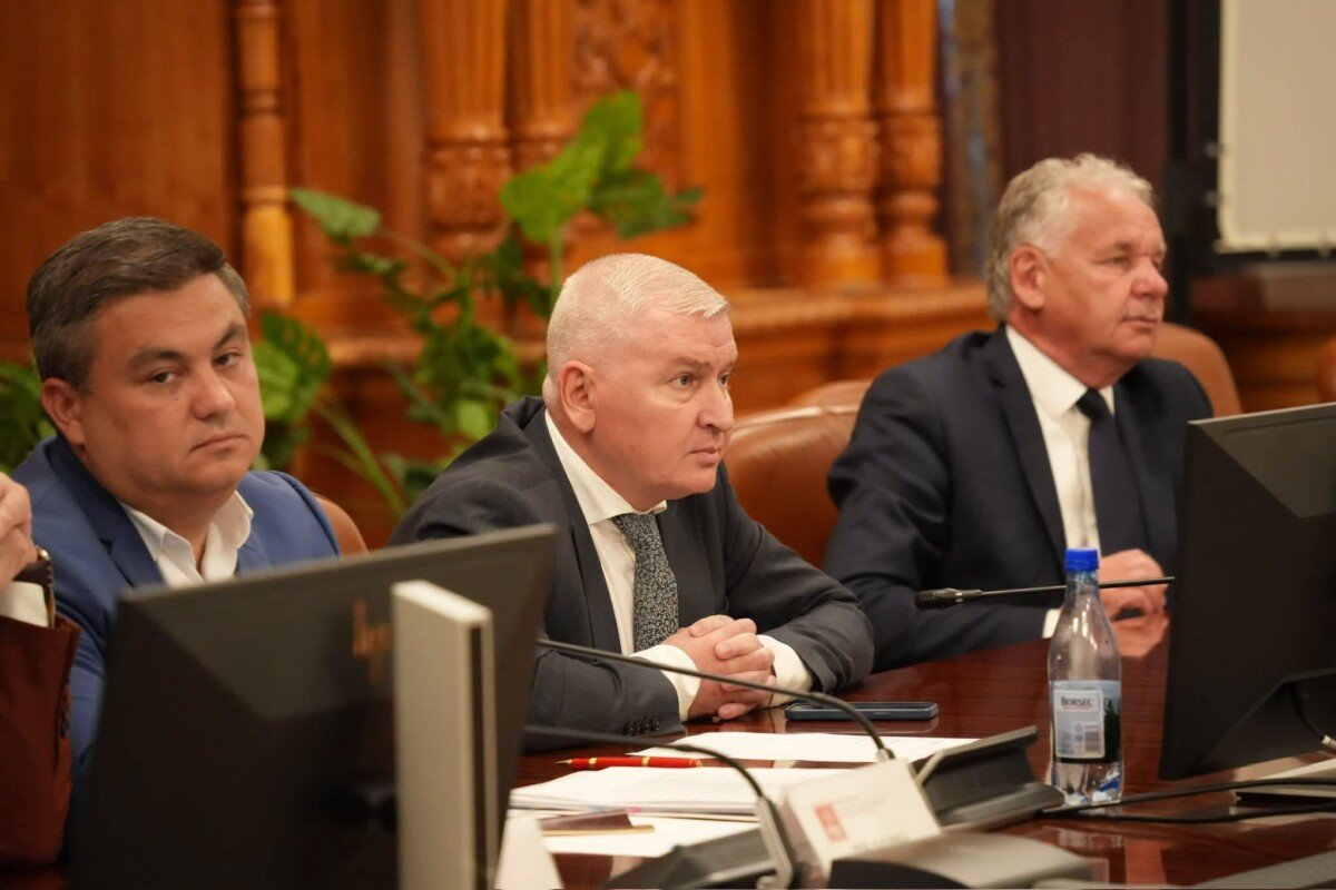 CCR a respins parțial legea lui Florin Roman privind minorii agresivi, cu unanimitate de voturi