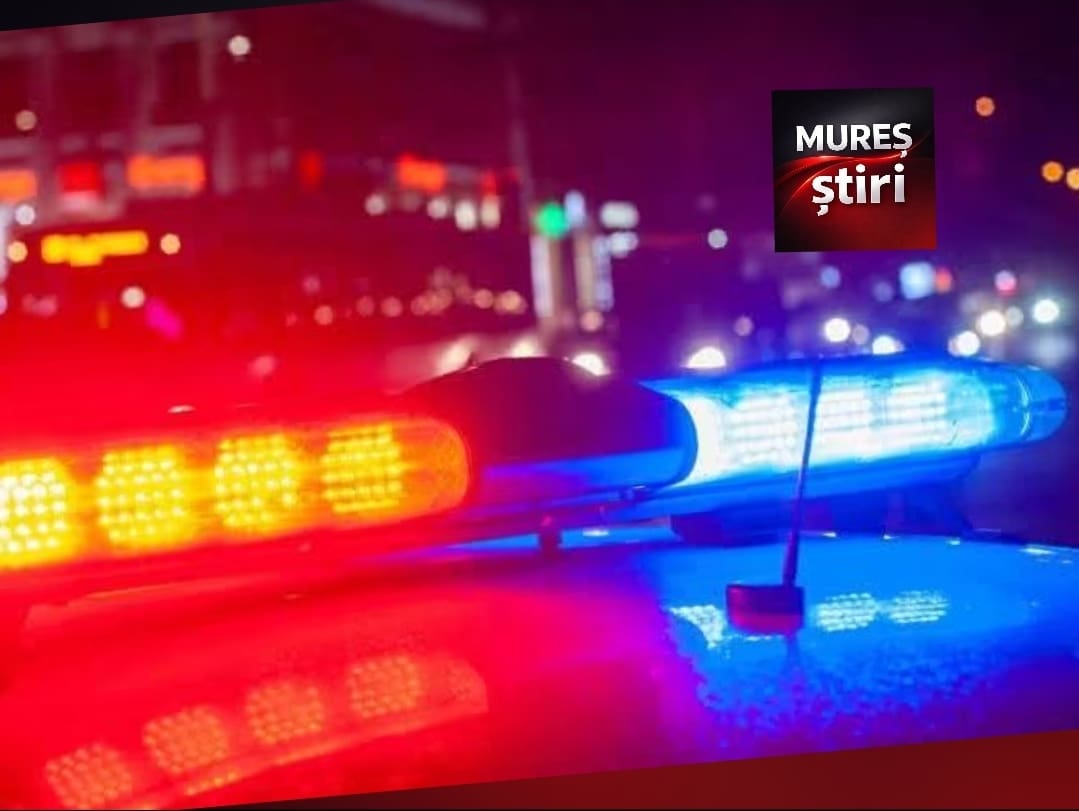 Cerb lovit de o mașină pe Dealul Iernut, pe DN15, în această noapte