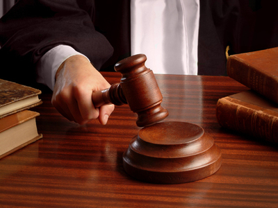 Cererea de insolvenţă a AnimaWings are termen de judecată pe 14 octombrie