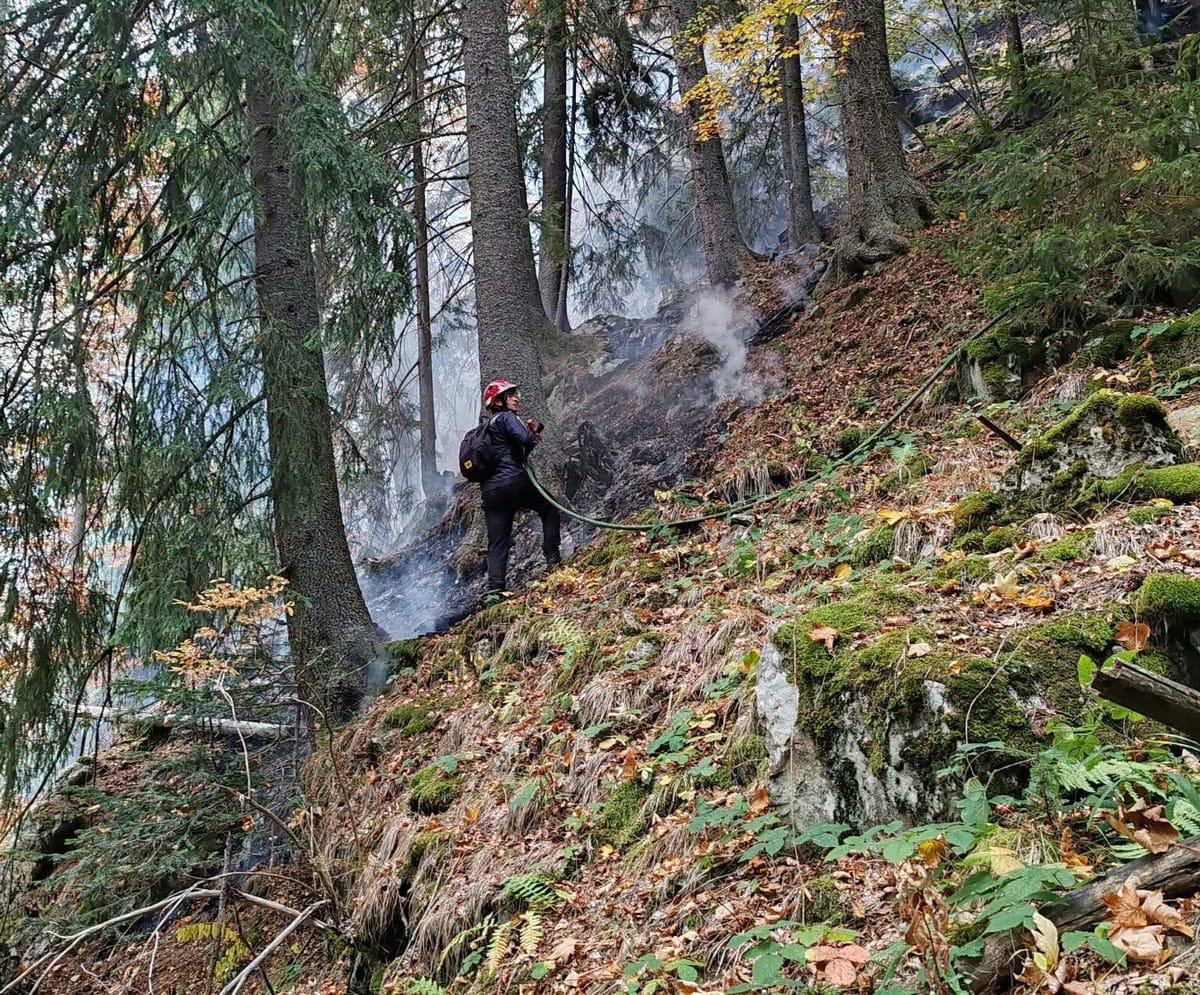 Cheile Buții din Retezat: incendiul de peste două săptămâni, localizat, dar cu focare active