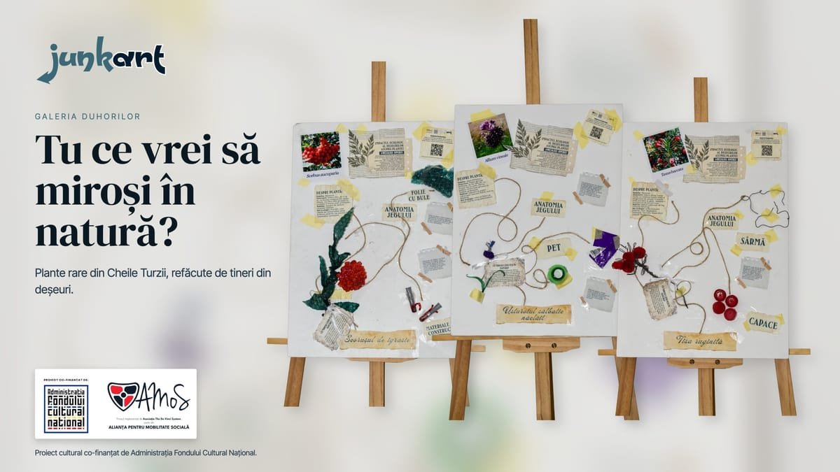 Cheile Turzii: tinerii din Turda au recreat din deșeuri plantele rare ale zonei