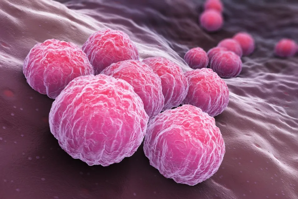 Chlamydia: o infecție cu simptome discrete, dar riscuri serioase pentru fertilitate