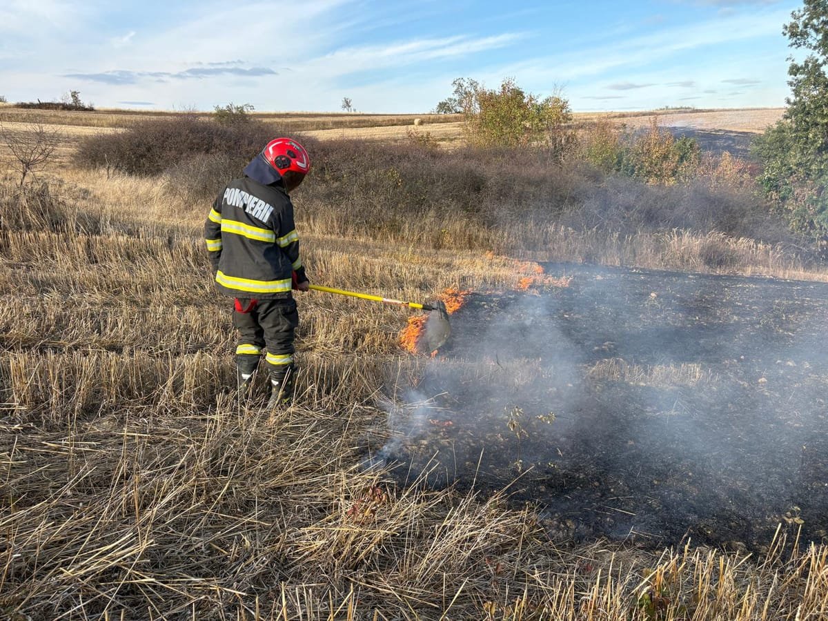 Cladova, Balinț și Bucovăț: incendii au afectat peste 50 de hectare în estul Timișului