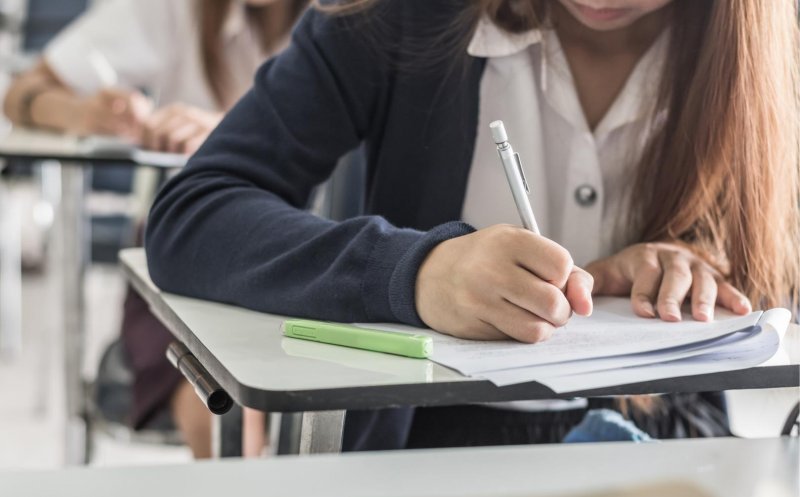 Cluj: ideea lui Mircea Miclea cu teze în clasa a V-a, luată în calcul la Ministerul Educației