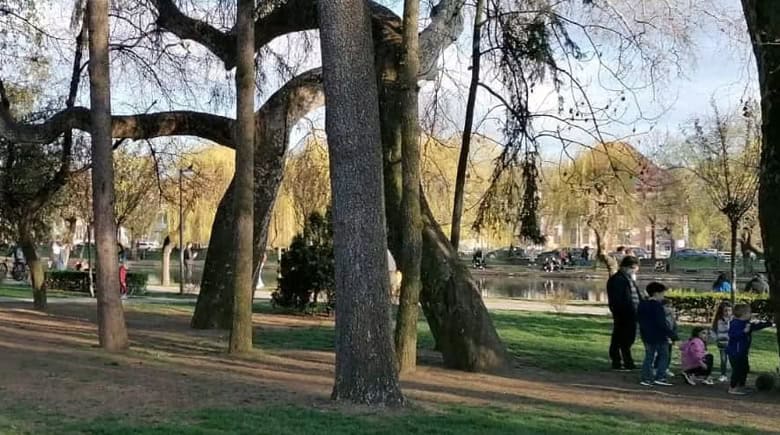 Cluj-Napoca: Consiliul Civic Local propune un plan pe cinci ani pentru stimularea natalității