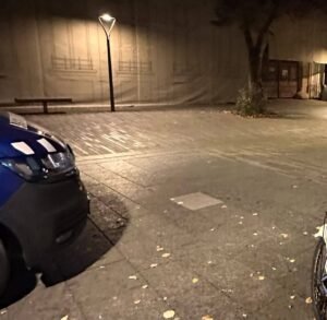 Cluj-Napoca: doi bărbați au plecat cu două statui din clădirea Bibliotecii Județene și au dosar penal