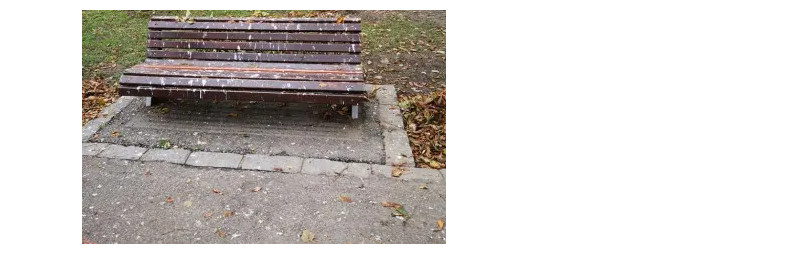 Cluj-Napoca: parcul de lângă Lidl de pe Calea Baciului, plin de gunoaie și neîngrijit, reclamat pe My Cluj