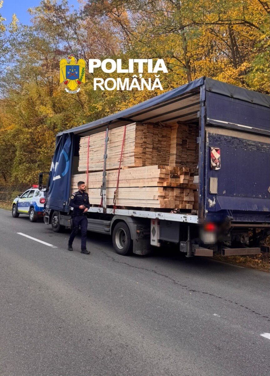 Cluj-Napoca și Gilău: amenzi de 5.000 de lei și lemne confiscate după controale silvice
