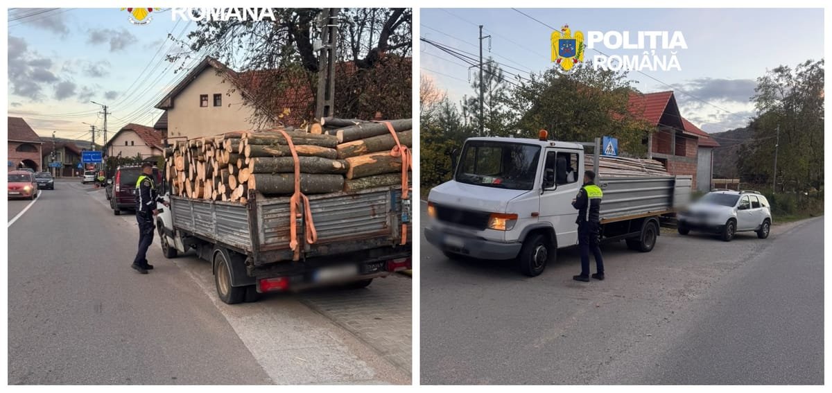 Cluj: transport de lemne fără acte, prins dimineața, iar polițiștii au confiscat întreaga încărcătură