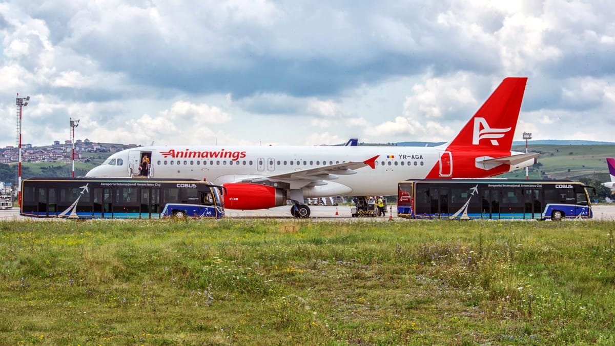 Cluj: Tribunalul a respins cererea de insolvență a AnimaWings. Aeroportul și Banca Transilvania, creditori