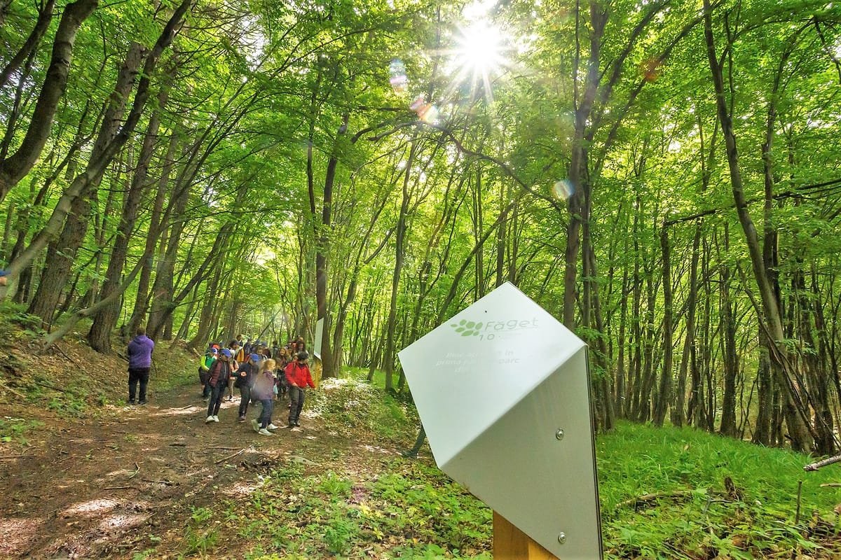 Codlea: Primăria a semnat un contract de 35.000 de lei pentru proiectul unei pădure-parc de 17 hectare