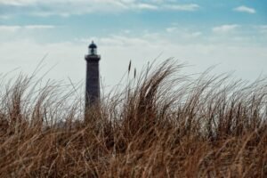 Danemarca: pe coasta insulei Lolland, lângă Redbyhavn, a apărut un teren nou de 300.000 de metri pătrați