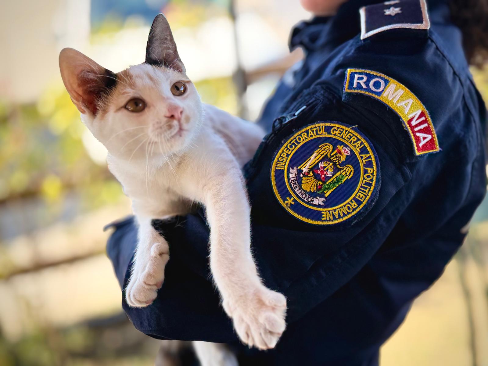 De Ziua Animalelor, polițiștii reamintesc Deținerea unui animal înseamnă și responsabilitate