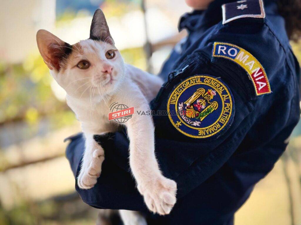 De Ziua Animalelor, Poliția Maramureș atrage atenția: respectul și grija nu sunt opționale