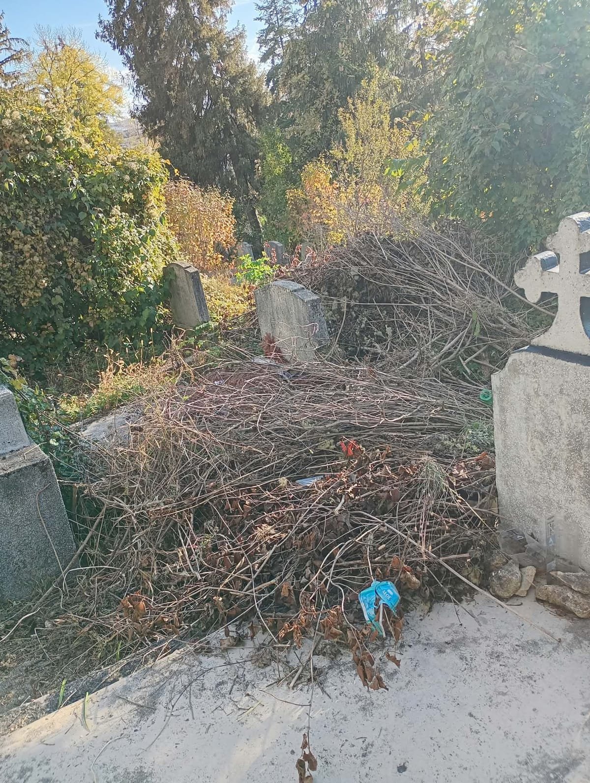 Dej: cimitirul de pe Dealul Mulatău, neîngrijit cu două săptămâni înainte de Luminație FOTO