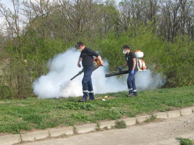 Dezinsecție terestră împotriva țânțarilor, la Timișoara