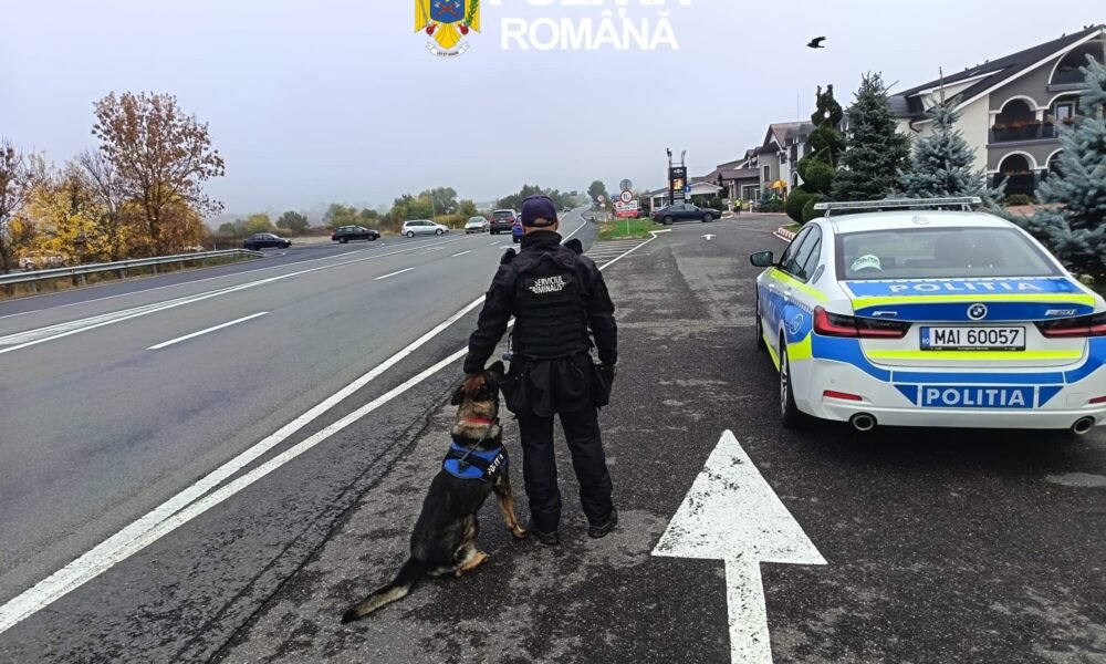 DN 7, Hunedoara: peste 340 de amenzi și 24 de permise reținute în controale în trafic