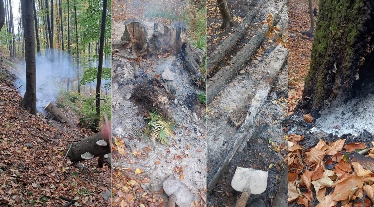 Domogled: noi focare ale incendiului, identificate cu drone. DN 67D rămâne închis circulației