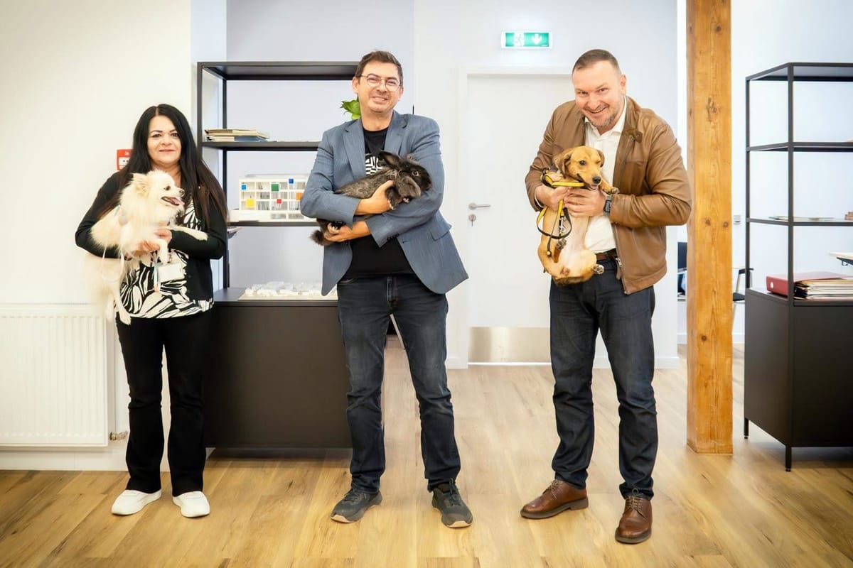 Dopi, Coco, Oreo și Egg, musafiri speciali la Consiliul Județean Sibiu. Daniela Cîmpean: „Au încredere în noi, nu ne jud