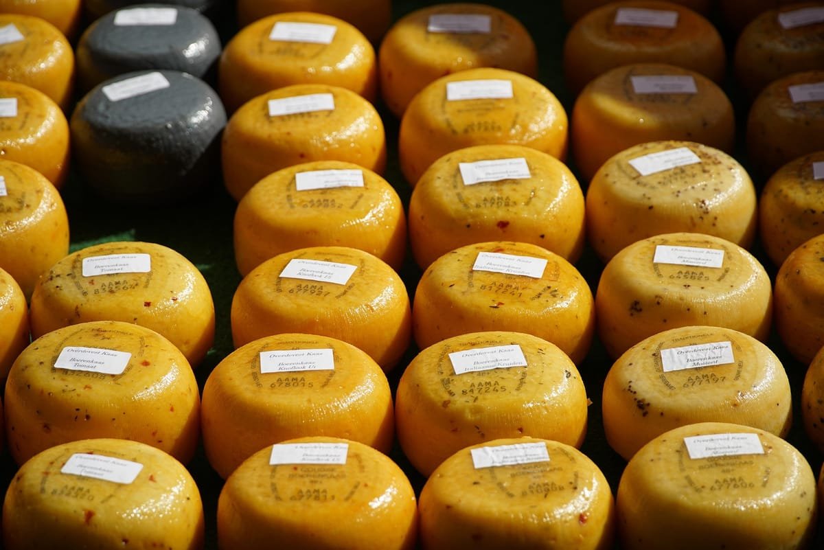 Dover: tone de cocaină ascunse în brânză gouda, 18 persoane condamnate, peste 530 de milioane de euro