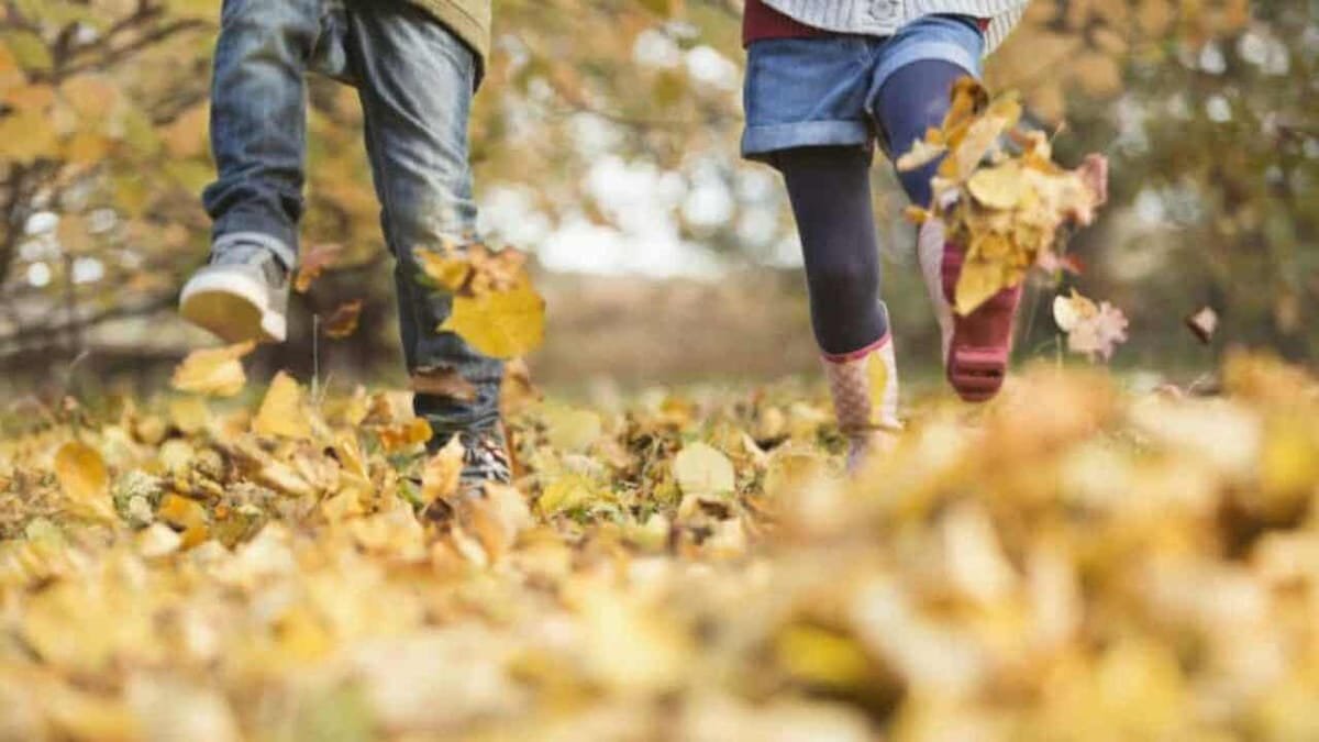Elevii au intrat în vacanța de toamnă și revin la școală pe 2 noiembrie