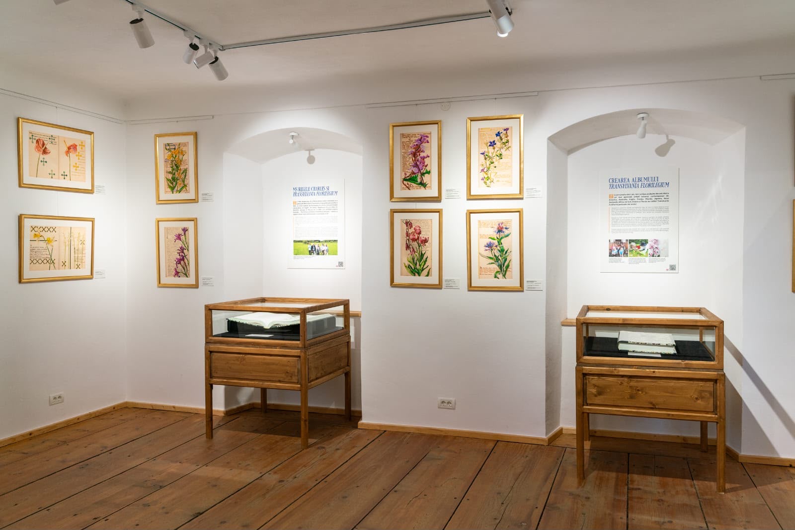 Expoziția „Maria: Regina artistă” a fost deschisă la Prima Școală Românească din Brașov
