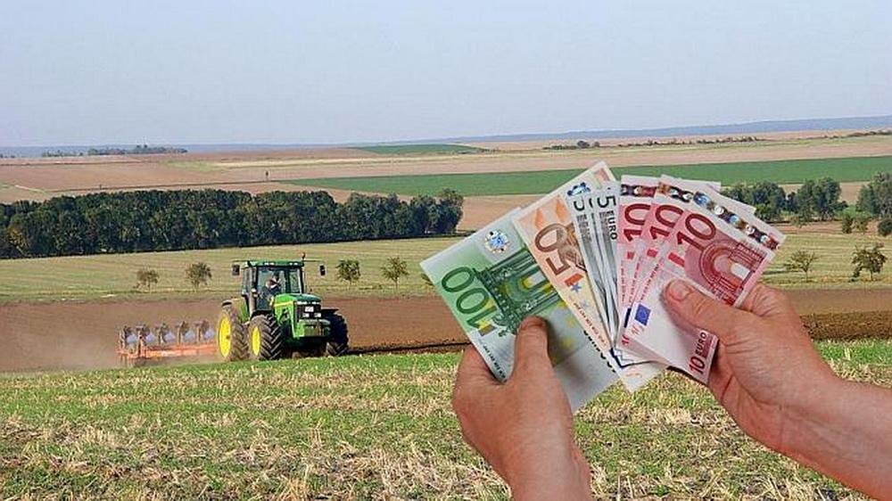 Fermierii din Bihor au primit două săptămâni în plus pentru proiectele de fermă, până pe 16 noiembrie