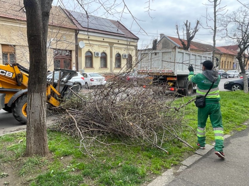 Florești: Primăria ridică deșeurile vegetale pe 24 și 25 octombrie, sacii scoși până la ora 7.00