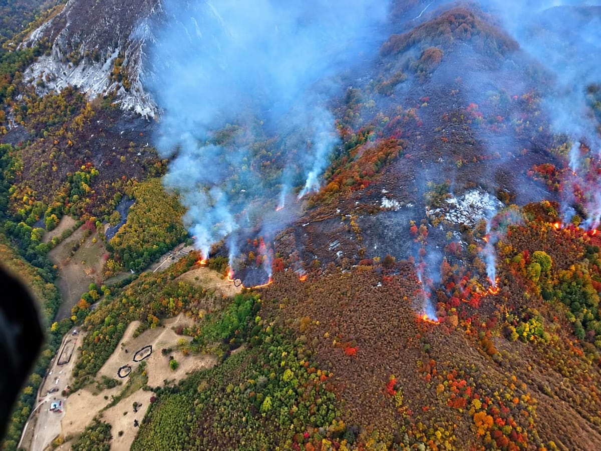 FOTO. Băile Herculane: incendiul din Parcul Domogled continuă să ardă, cu intervenții terestre și aeriene