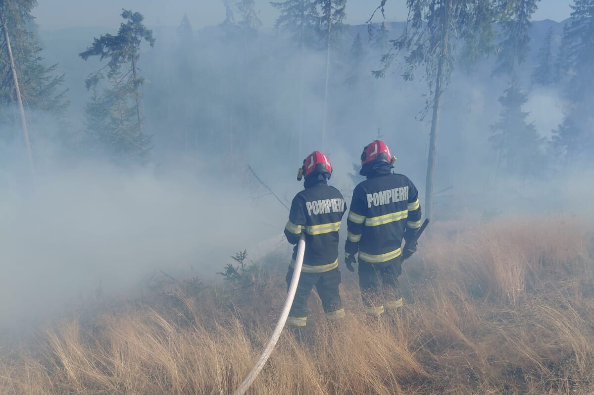 FOTO: Incendiu de vegetație uscată la Lupșa. Flăcările au cuprins aproximativ 8.000 de metri pătrați