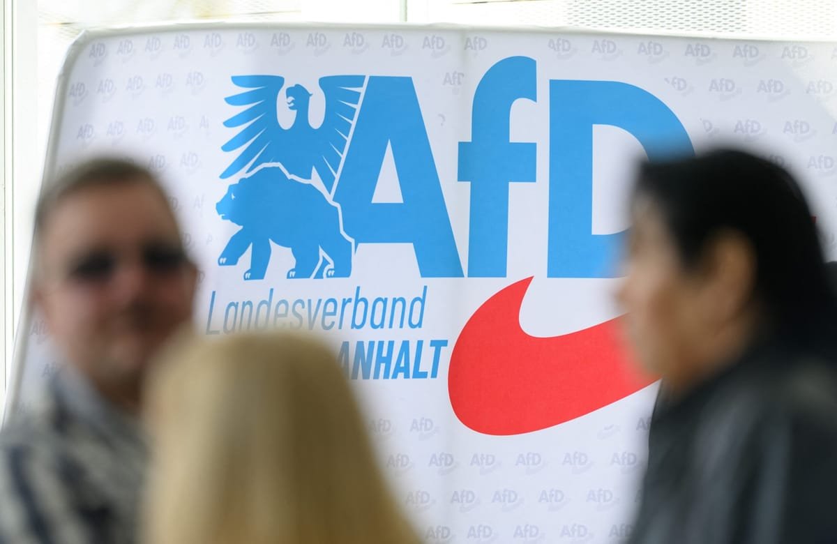 Germania: AfD vrea eliminarea alegerilor directe pentru Parlamentul European și reducerea Comisiei Europene