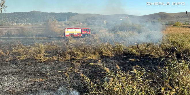 Gherla: incendiu de vegetație scăpat de sub control, între malul Someșului și strada Clujului