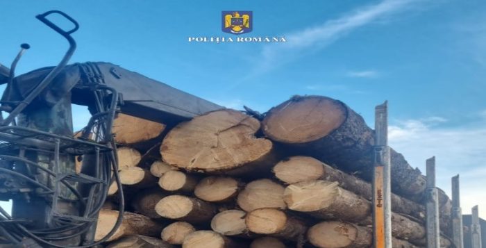 Gherla: pădurar condamnat definitiv pentru 12 avize emise singur pentru 36,6 mc de lemn
