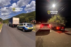 Gilău: transport de lemne fără acte, depistat de polițiști; peste 5 metri cubi de material lemnos confiscați