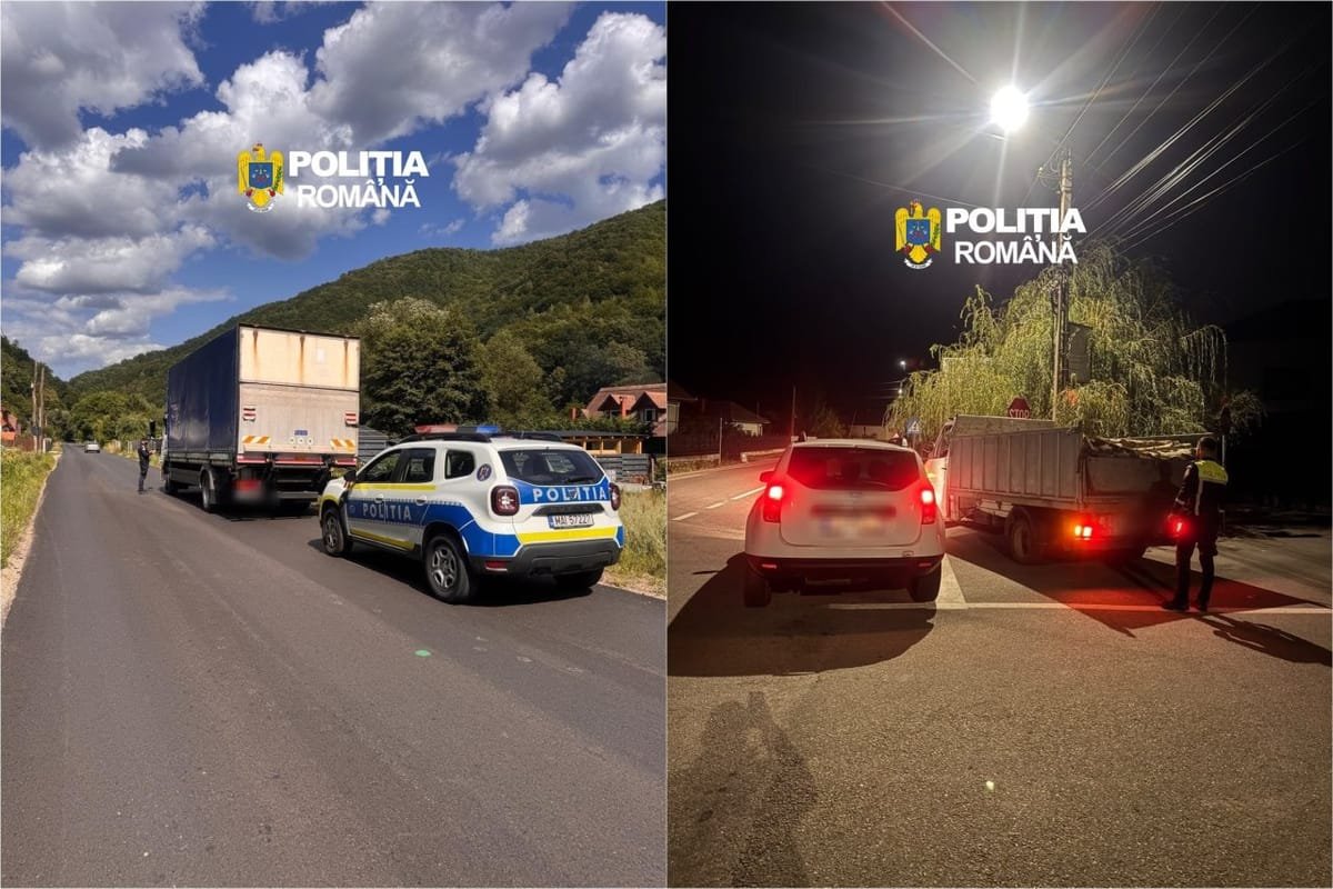 Gilău: transport de lemne fără acte, depistat de polițiști; peste 5 metri cubi de material lemnos confiscați