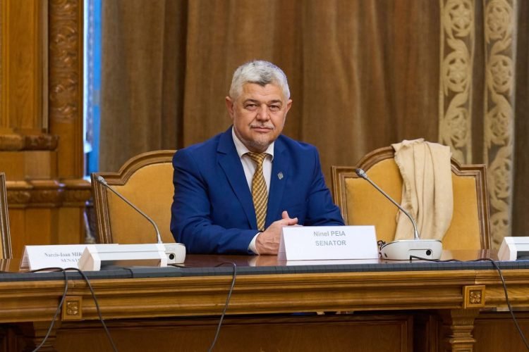 Grupul parlamentar PACE – Întâi România ar putea susține un cabinet Luca Niculescu, dar nu tehnocrat